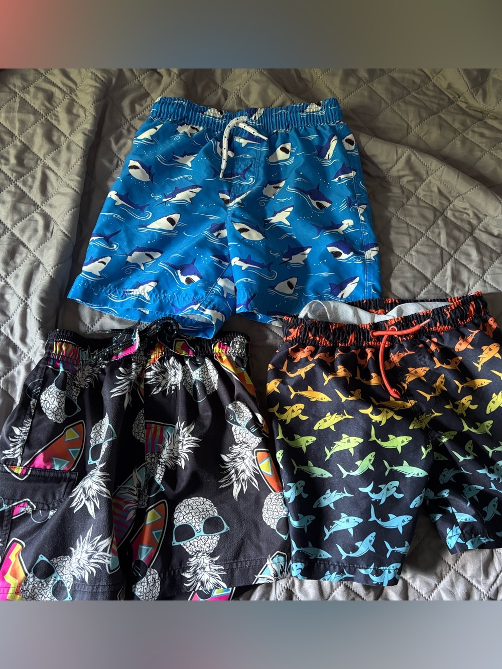 Three Pairs of Boy's 6/7 Swim Trunks